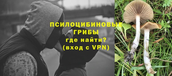 МДПВ Михайлов