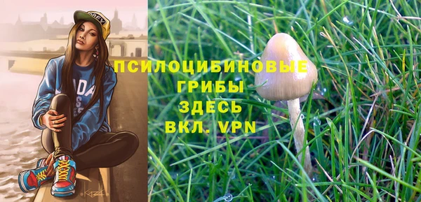 таблы Алексин