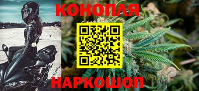 сатива Конаково