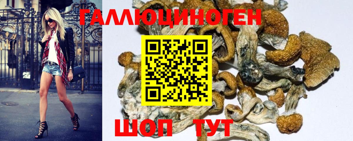 Галлюциногенные грибы MAGIC MUSHROOMS  купить закладку  Красноярск  Вход с VPN 